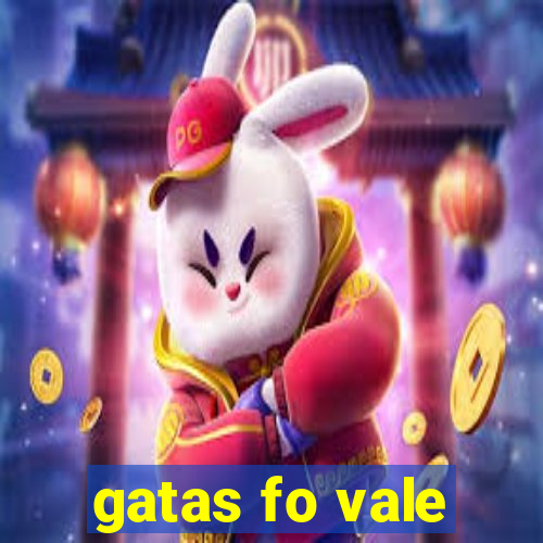 gatas fo vale